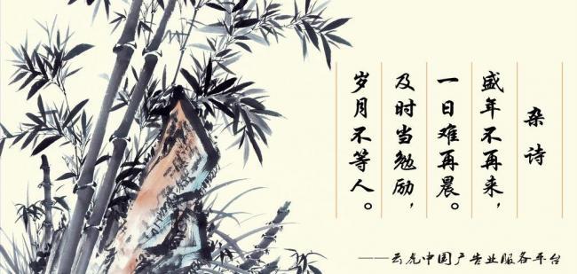 辦公室風水擺件，助你事業(yè)風生水起